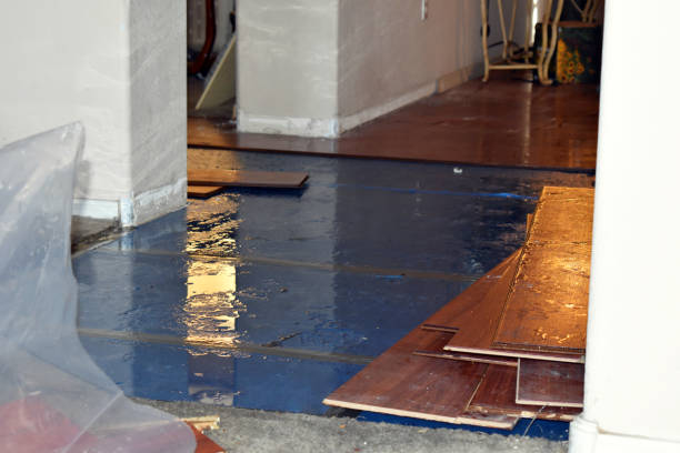 Professional Basement Flood Cleanup technician working in Bluffton, OH